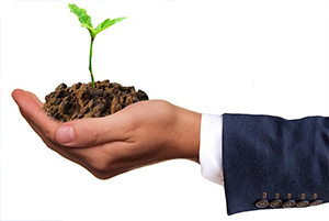 invernadero de empresas